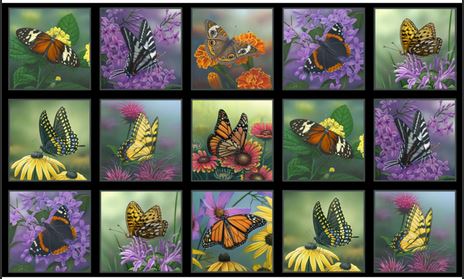 Schmetterling Schmetterlinge Panel Patchworkstoff