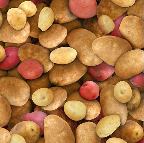 Kartoffeln Gemüse Baumwollstoff