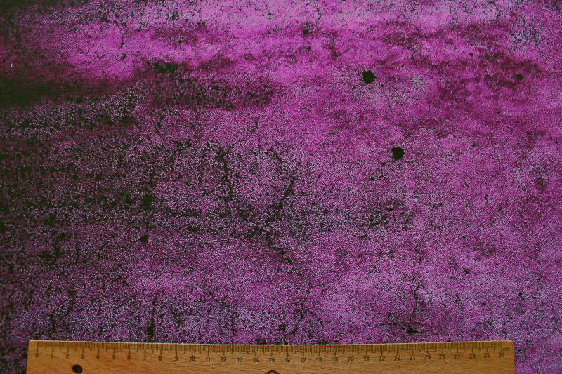 Beton Cherry Picking rot Sommersweat