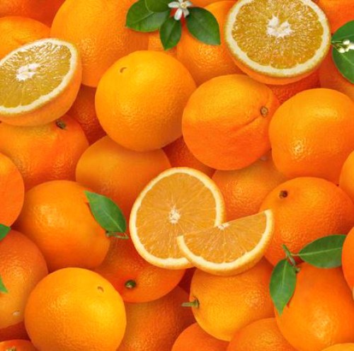 Apfelsinen Orangen Baumwollstoff