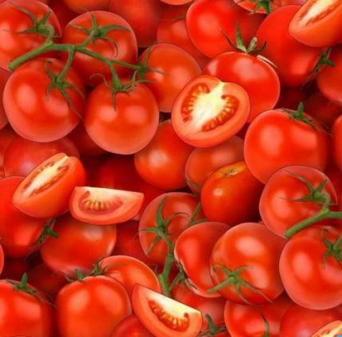 Tomate Tomaten Baumwollstoff