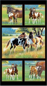 Pferde Fohlen Patchworkstoff Panel