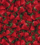 Erdbeere Erdbeeren Baumwollstoff
