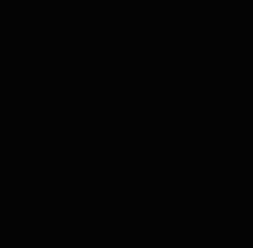Baumwollstoff uni schwarz